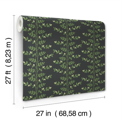 York Wallcoverings Rifle Paper Co. 3rd Edition Botanical Climbing Vine Whimsical Greens   - RF7422