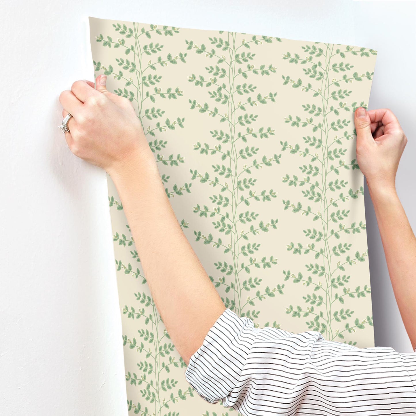 York Wallcoverings Rifle Paper Co. 3rd Edition Botanical Climbing Vine Whimsical Greens   - RF7423