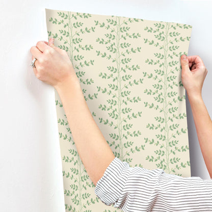 York Wallcoverings Rifle Paper Co. 3rd Edition Botanical Climbing Vine Whimsical Greens   - RF7423