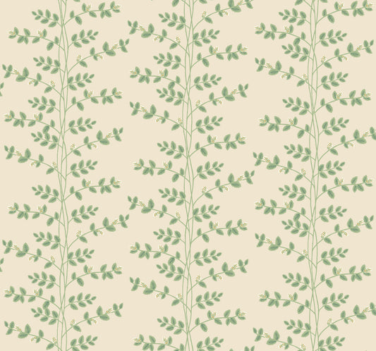 York Wallcoverings Rifle Paper Co. 3rd Edition Climbing Vine Linen Wallpaper Whimsical Botanical Greens   - RF7423