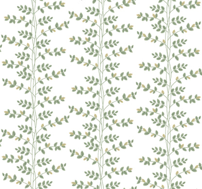 York Wallcoverings Rifle Paper Co. 3rd Edition Botanical Climbing Vine Whimsical Greens   - RF7424