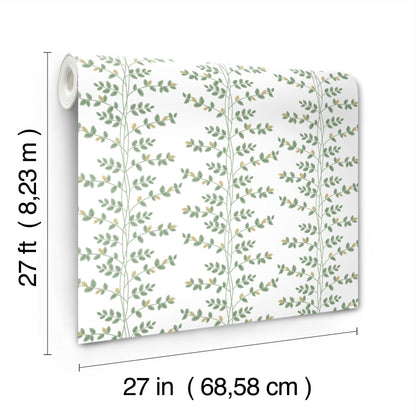 York Wallcoverings Rifle Paper Co. 3rd Edition Climbing Vine Gold Wallpaper Whimsical Botanical Greens   - RF7424