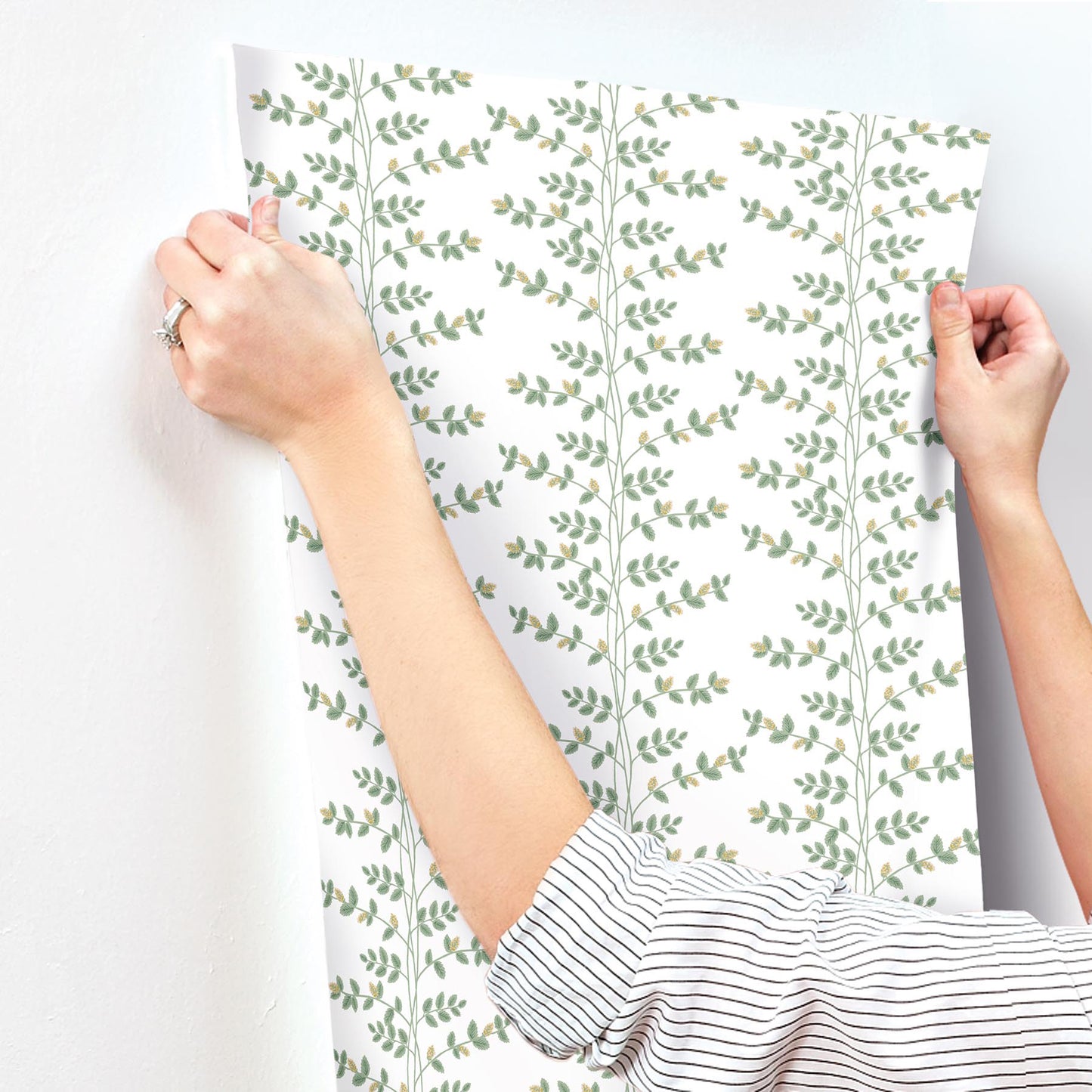 York Wallcoverings Rifle Paper Co. 3rd Edition Climbing Vine Gold Wallpaper Whimsical Botanical Greens   - RF7424