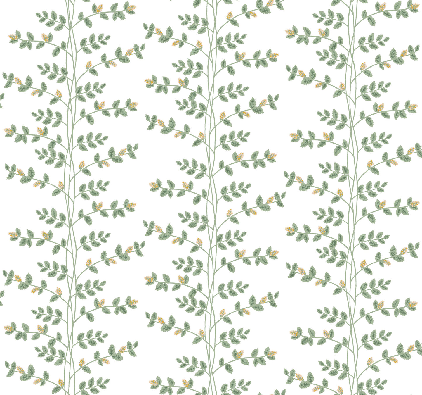 York Wallcoverings Rifle Paper Co. 3rd Edition Climbing Vine Gold Wallpaper Whimsical Botanical Greens   - RF7424