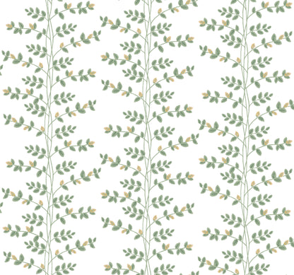 York Wallcoverings Rifle Paper Co. 3rd Edition Climbing Vine Gold Wallpaper Whimsical Botanical Greens   - RF7424
