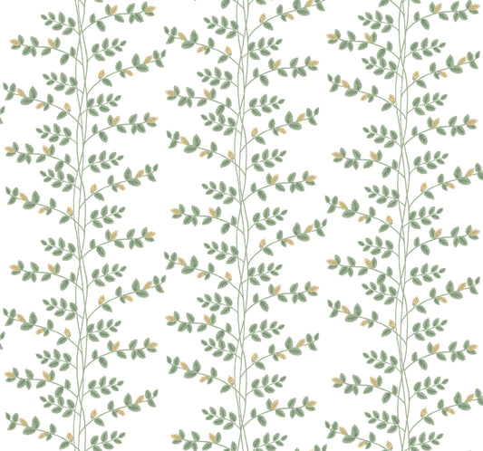 York Wallcoverings Rifle Paper Co. 3rd Edition Climbing Vine Gold Wallpaper Whimsical Botanical Greens   - RF7424