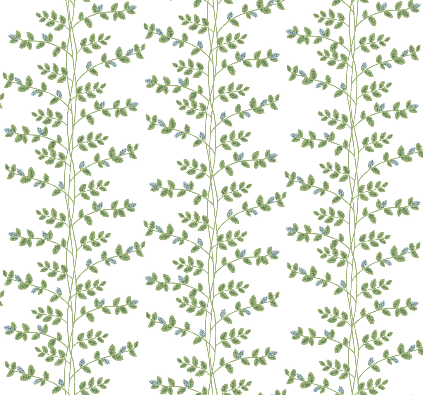 Rifle Paper Co. 3rd Edition Botanical Climbing Vine Whimsical Greens   - RF7425