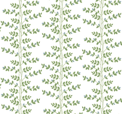 York Wallcoverings Rifle Paper Co. 3rd Edition Botanical Climbing Vine Whimsical Greens   - RF7425