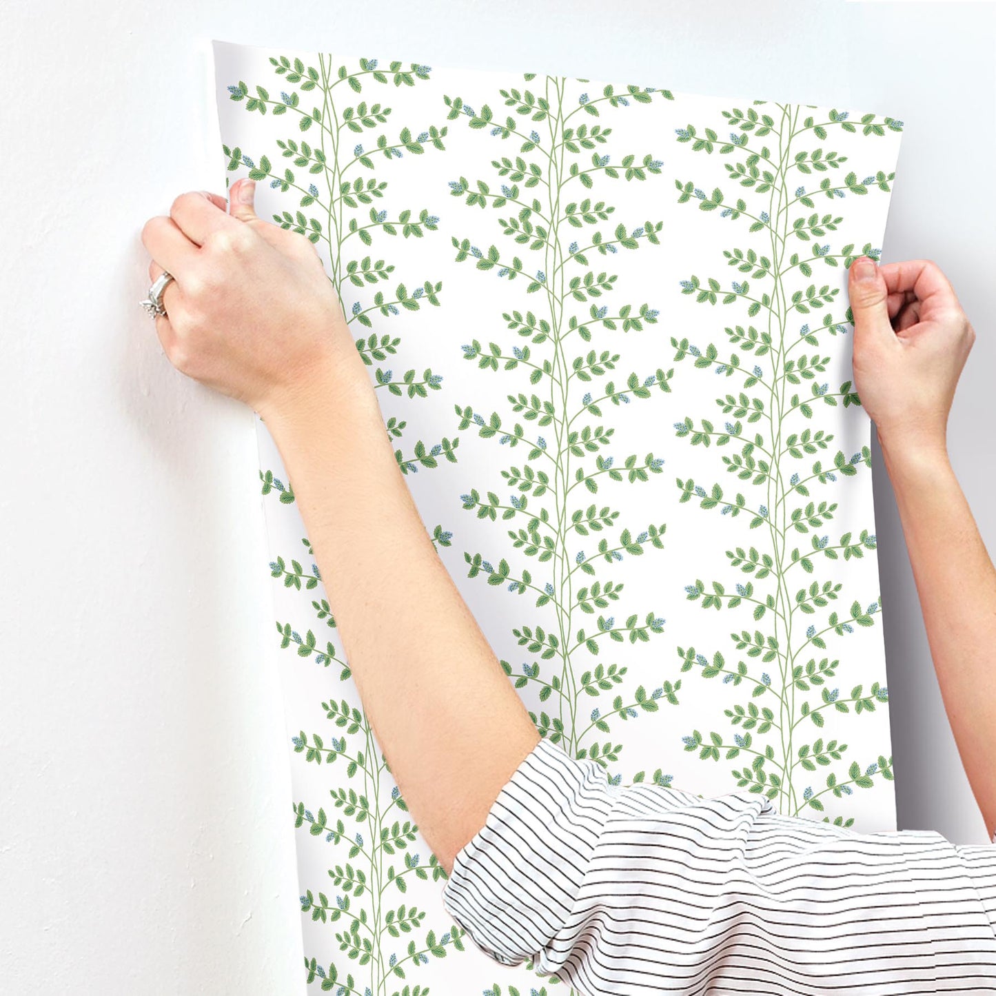 York Wallcoverings Rifle Paper Co. 3rd Edition Botanical Climbing Vine Whimsical Greens   - RF7425