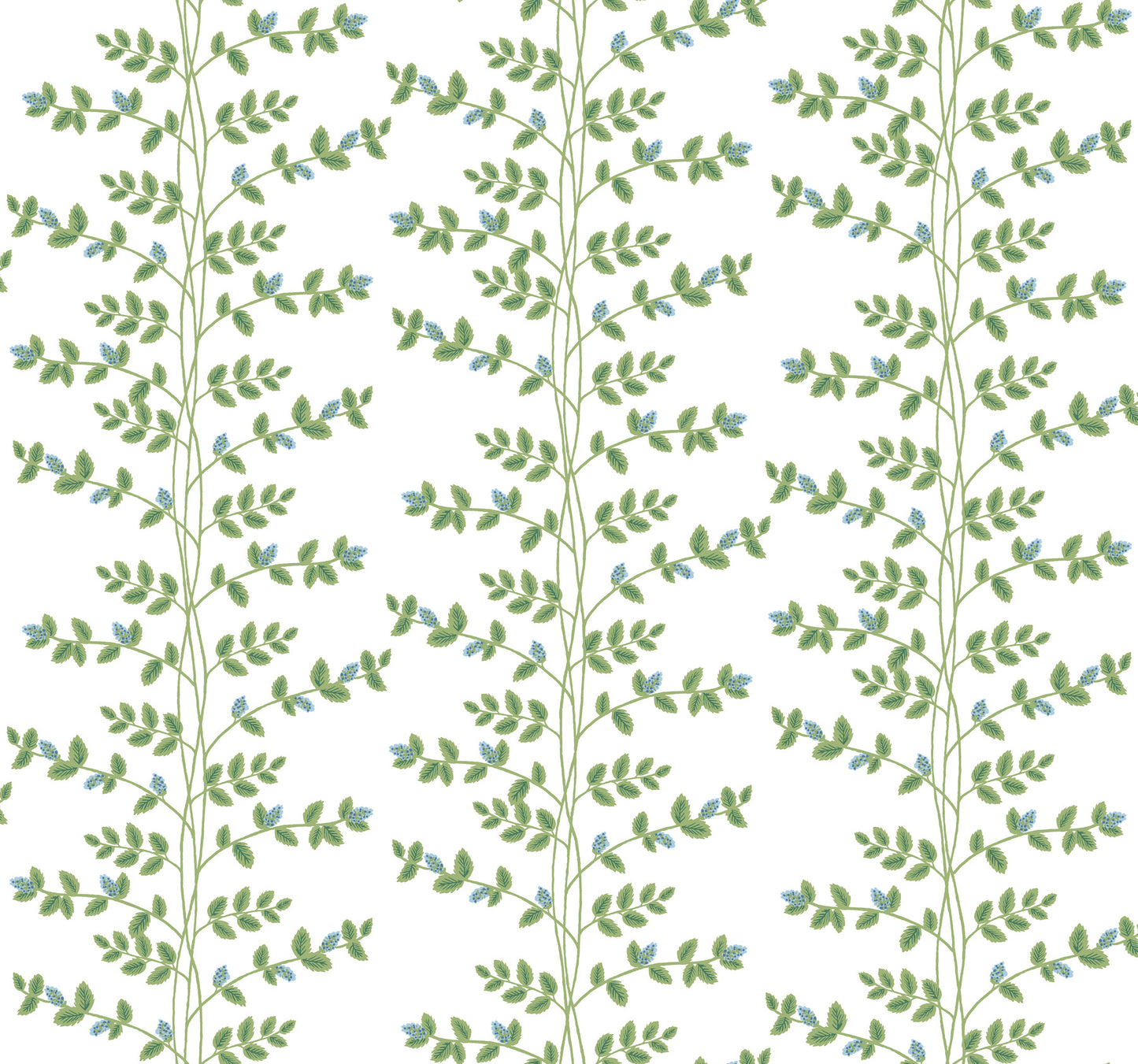 York Wallcoverings Rifle Paper Co. 3rd Edition Climbing Vine Blue Wallpaper Whimsical Botanical Greens   - RF7425