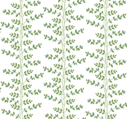 York Wallcoverings Rifle Paper Co. 3rd Edition Climbing Vine Blue Wallpaper Whimsical Botanical Greens   - RF7425