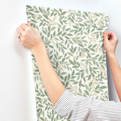 York Wallcoverings Rifle Paper Co. 3rd Edition Willowberry Sage Wallpaper Farmhouse Botanical Greens   - RF7465