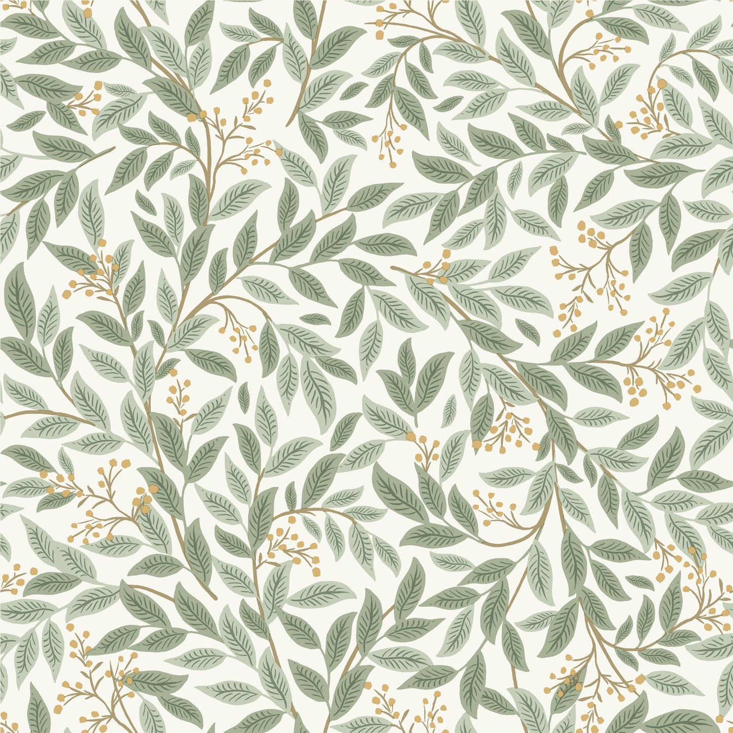 York Wallcoverings Rifle Paper Co. 3rd Edition Willowberry Sage Wallpaper Farmhouse Botanical Greens   - RF7465