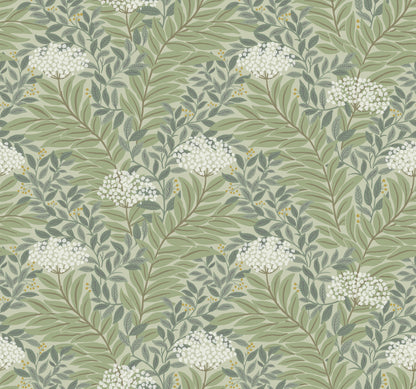 York Wallcoverings Rifle Paper Co. 3rd Edition Florals Highgrove Traditional Greens   - RF7503