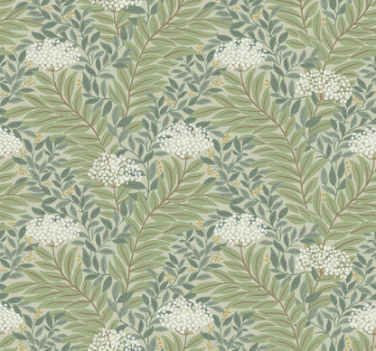 York Wallcoverings Rifle Paper Co. 3rd Edition Highgrove Sage Wallpaper Traditional Florals Greens   - RF7503