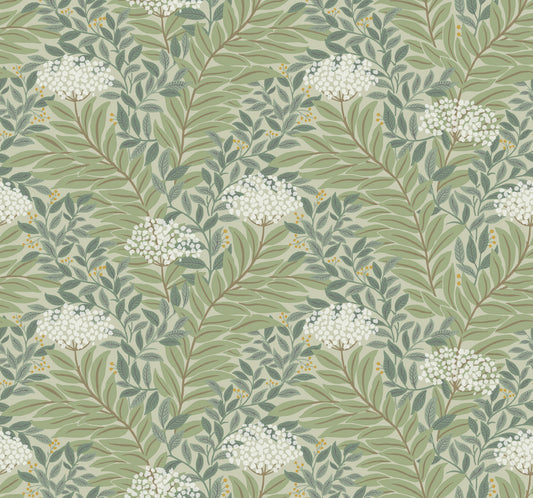 York Wallcoverings Rifle Paper Co. 3rd Edition Highgrove Sage Wallpaper Traditional Florals Greens   - RF7503
