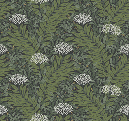 York Wallcoverings Rifle Paper Co. 3rd Edition Florals Highgrove Traditional Greens   - RF7504