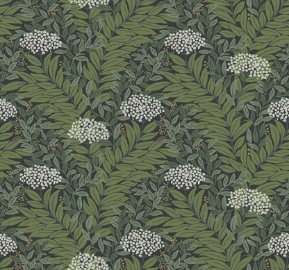 York Wallcoverings Rifle Paper Co. 3rd Edition Highgrove Black Wallpaper Traditional Florals Greens   - RF7504