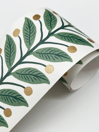 York Wallcoverings Rifle Paper Co. 3rd Edition Green Garden Wallpaper Trim Transitional Botanical Greens   - RF7531B