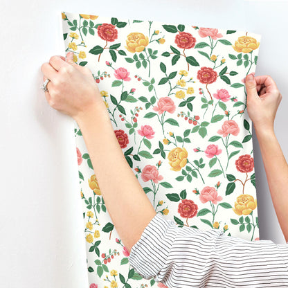 York Wallcoverings Rifle Paper Co. 3rd Edition Roses Blush Wallpaper Whimsical Botanical Reds   - RF7546