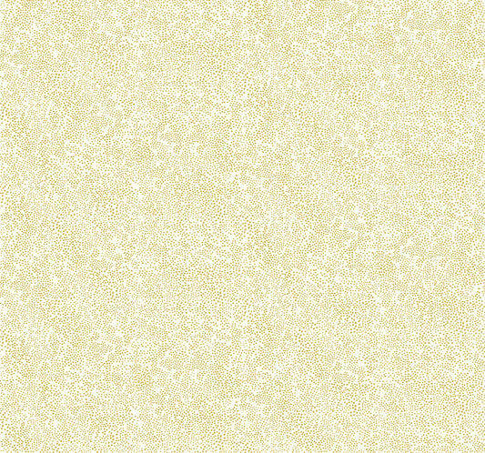 York Wallcoverings Rifle Paper Co. Champagne Dots Gold and White Wallpaper  Small Prints Whites and Off-Whites   - RI5112