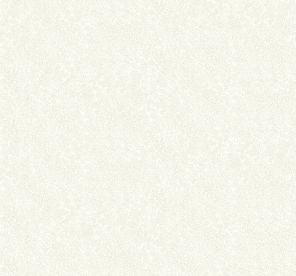 York Wallcoverings Rifle Paper Co. Champagne Dots Linen Metallic Wallpaper   Metallics   - RI5115