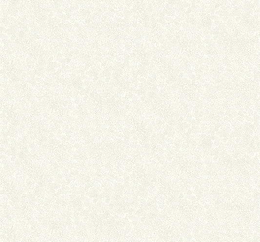 York Wallcoverings Rifle Paper Co. Champagne Dots Linen Metallic Wallpaper   Metallics   - RI5115