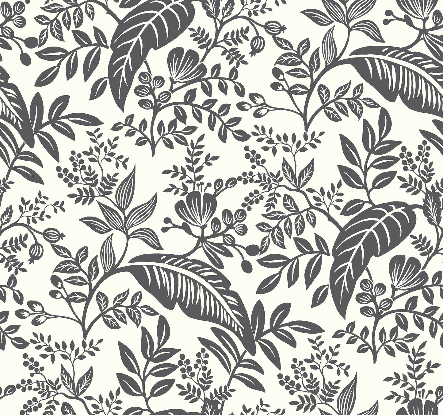 York Wallcoverings York Wallcoverings Rifle Paper Co. Canopy Black & White Wallpaper Botanical Botanical Black & White   - RI5136