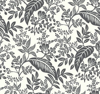 York Wallcoverings Rifle Paper Co. Canopy Black and White Wallpaper  Botanical Whites and Off-Whites   - RI5136