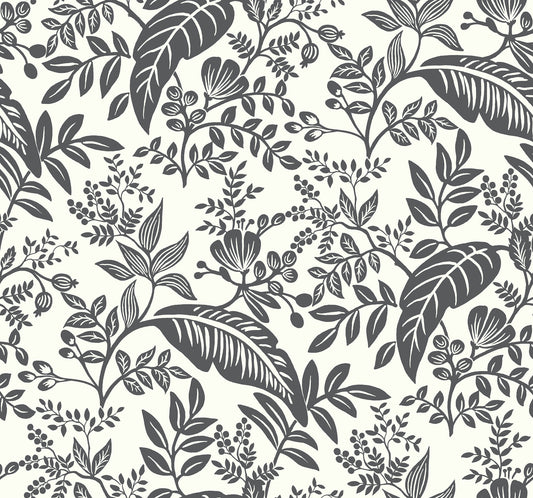 York Wallcoverings Rifle Paper Co. Canopy Black and White Wallpaper  Botanical Whites and Off-Whites   - RI5136
