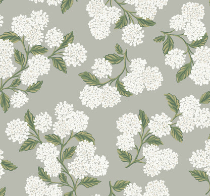 York Wallcoverings Rifle Paper Co. Hydrangea Grey Wallpaper  Botanical Greys   - RI5144