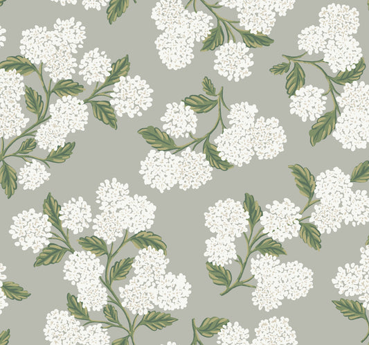 York Wallcoverings Rifle Paper Co. Hydrangea Grey Wallpaper  Botanical Greys   - RI5144