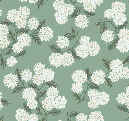 York Wallcoverings Rifle Paper Co. Hydrangea Jade Wallpaper  Botanical Greens   - RI5145