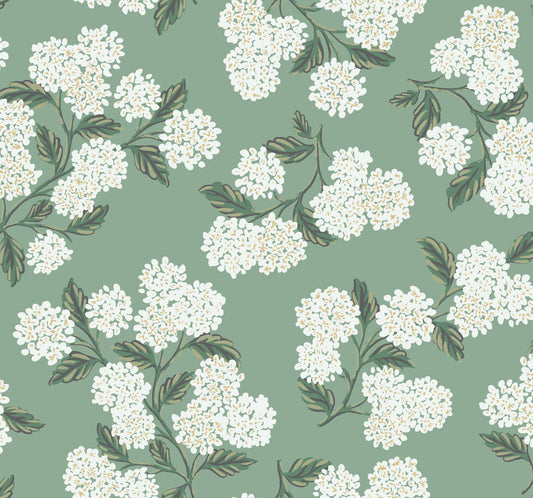 York Wallcoverings Rifle Paper Co. Hydrangea Jade Wallpaper  Botanical Greens   - RI5145