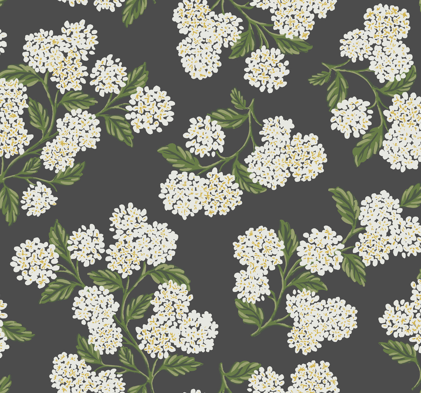York Wallcoverings Rifle Paper Co. Hydrangea Black and White Wallpaper  Botanical Whites and Off-Whites   - RI5146