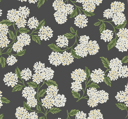 York Wallcoverings Rifle Paper Co. Hydrangea Black and White Wallpaper  Botanical Whites and Off-Whites   - RI5146