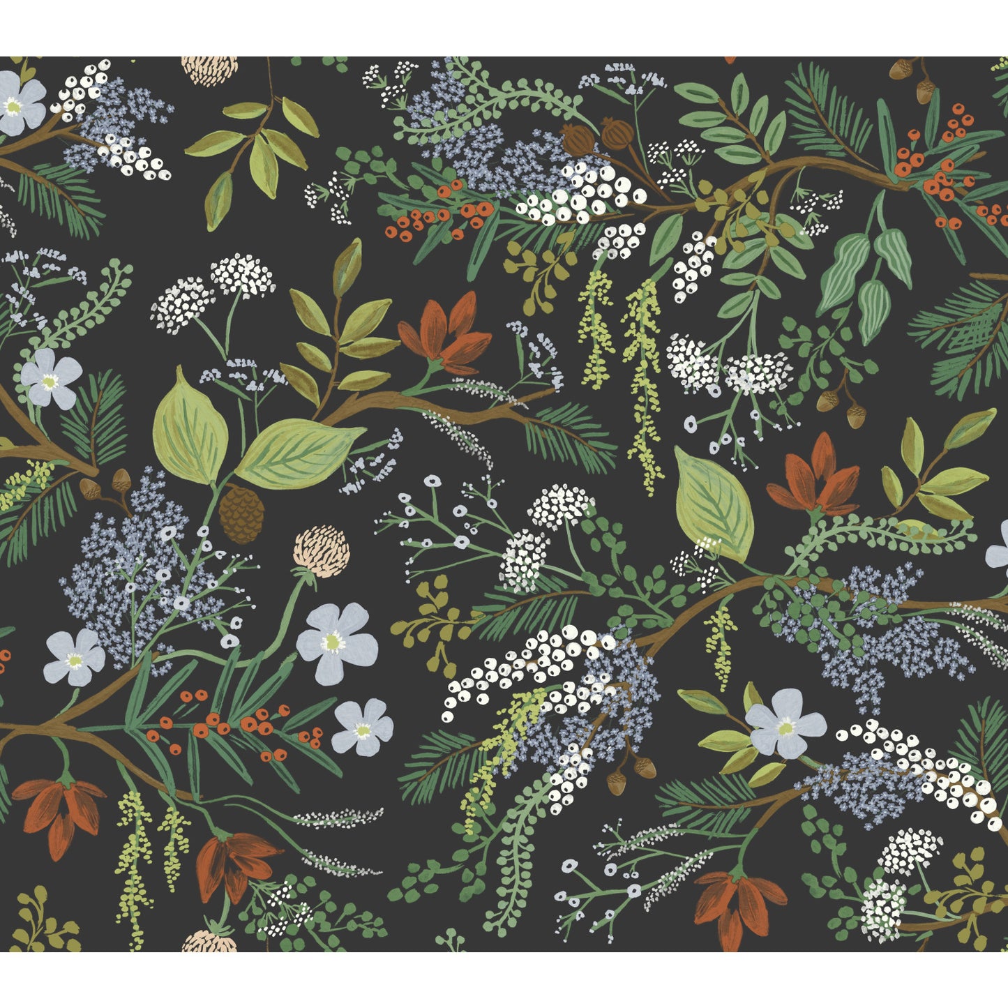 York Wallcoverings Rifle Paper Co. Juniper Forest Black Wallpaper  Botanical Blacks   - RI5166