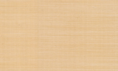 York Wallcoverings York Wallcoverings Rifle Paper Co. Palette Gold Metallic Wallpaper   Gold Metallic   - RI5185