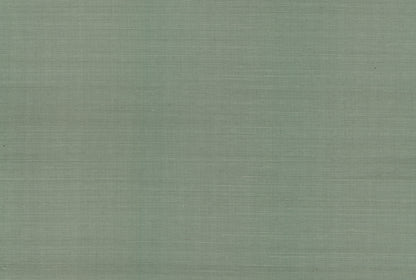 York Wallcoverings Grasscloth II Palette Sage Wallpaper Weaves Weaves Sage   - RI5186