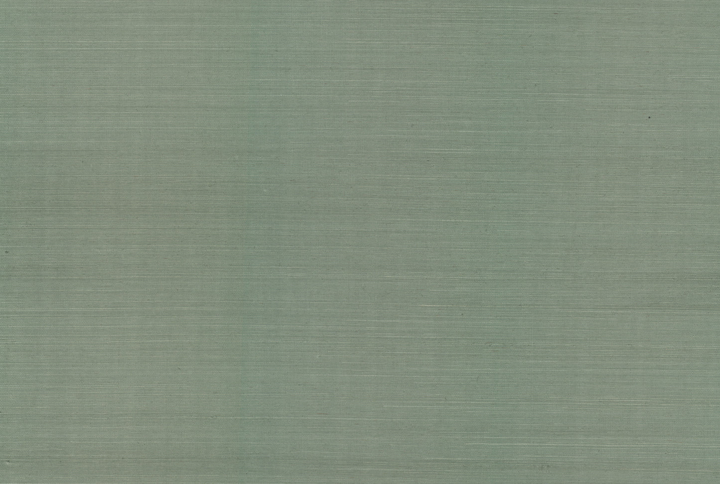 York Wallcoverings Rifle Paper Co. Palette Sage Wallpaper  Weaves Greens   - RI5186