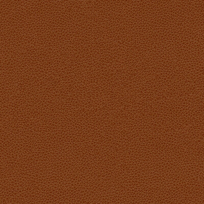 KRAVET DESIGN VINYL/FAUX LEATHER TEXTURE RUST,RUST,   - RIGEL.24.0