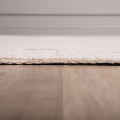 Rio Contemporary rug, 5' x 8' - RIORIO69200370579