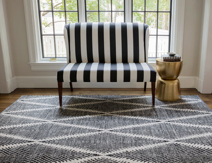 2' x 3' black-and-white striped rug with a geometric pattern.