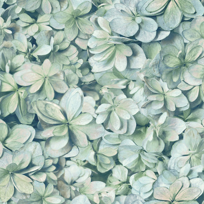 York Wallcoverings RoomMates Hydrangea Green Peel and Stick Wallpaper Modern Botanical Greens  Wallpaper - RMK11192WP