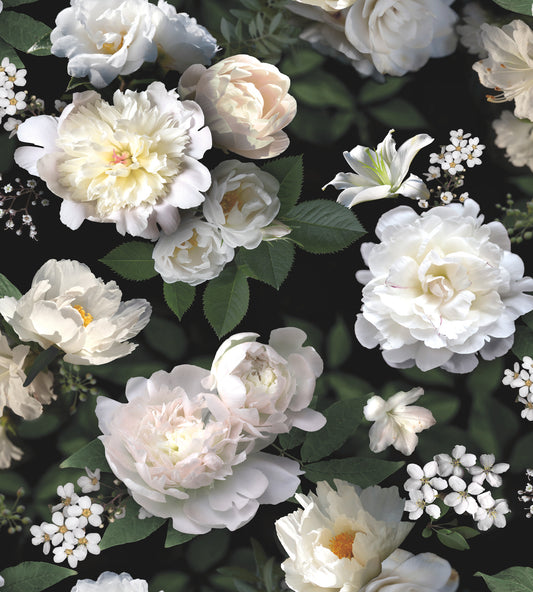 York Wallcoverings RoomMates Photographic Floral Wall Mural Photographic Botanical Blacks  Wallpaper - RMK11239M