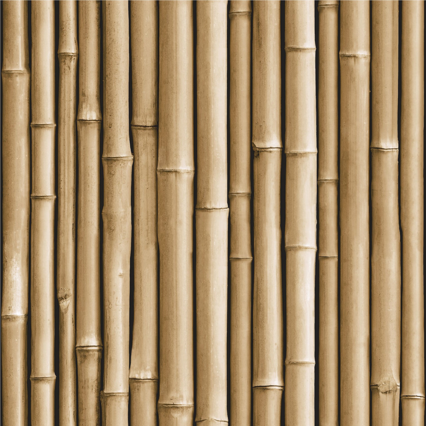 York Wallcoverings RoomMates Bamboo Brown Peel and Stick Wallpaper Modern Nature Browns  Wallpaper - RMK11434WP