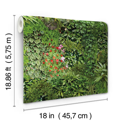 York Wallcoverings RoomMates Living Wall Green Peel and Stick Wallpaper Modern Nature Greens  Wallpaper - RMK11567RL