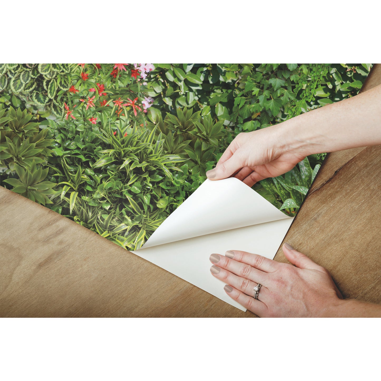 York Wallcoverings RoomMates Living Wall Green Peel and Stick Wallpaper Modern Nature Greens  Wallpaper - RMK11567RL