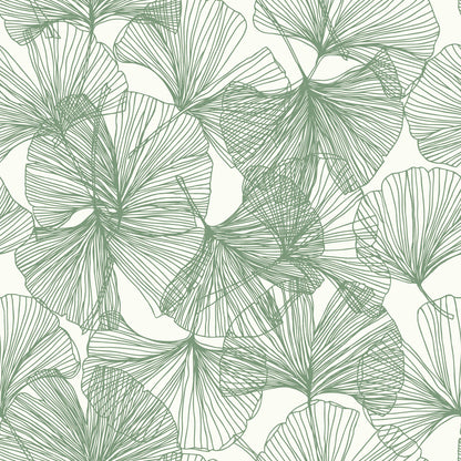 York Wallcoverings RoomMates Ginkgo Leaves Green Peel and Stick Wallpaper Modern Botanical Greens  Wallpaper - RMK11603WP