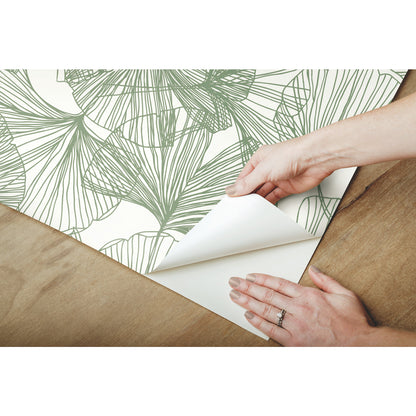 York Wallcoverings RoomMates Ginkgo Leaves Green Peel and Stick Wallpaper Modern Botanical Greens  Wallpaper - RMK11603WP